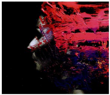 Hand. cannot. erase - Steven Wilson