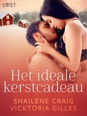 Het ideale kerstcadeau - erotisch kerstverhaal