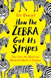 How the Zebra Got its Stripes