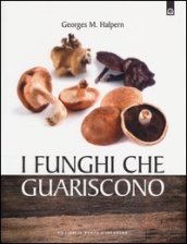 I funghi che guariscono