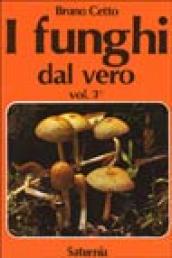 I funghi dal vero. 3.