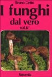 I funghi dal vero. 6.