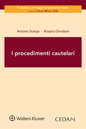 I procedimenti cautelari