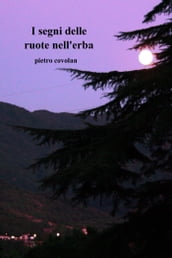 I segni delle ruote nell erba