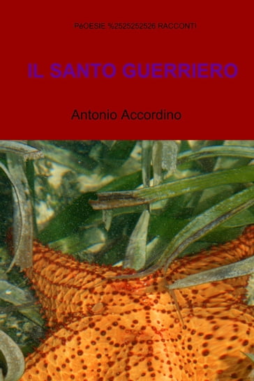 IL SANTO GUERRIERO - Accordino Antonio