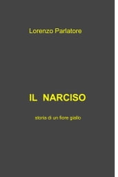 Il Narciso