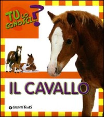 Il cavallo - Sara Reggiani