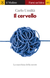 Il cervello