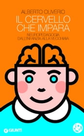 Il cervello che impara