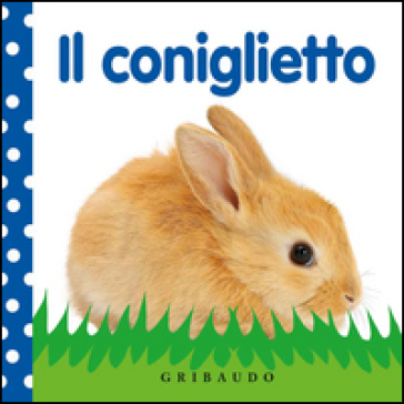 Il coniglietto - Dawn Sirett