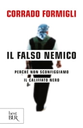 Il falso nemico