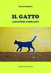 Il gatto