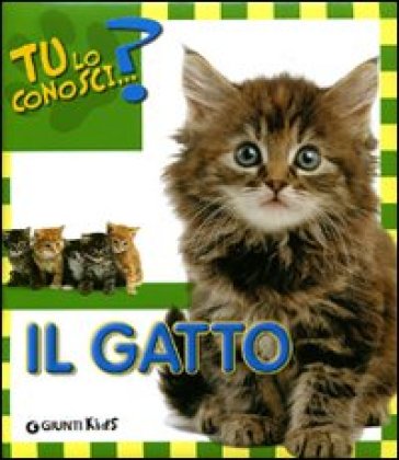 Il gatto