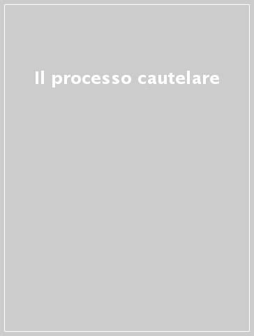 Il processo cautelare