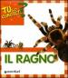 Il ragno