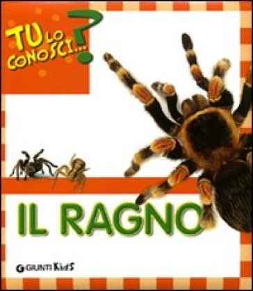 Il ragno - Sara Reggiani
