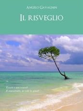 Il risveglio