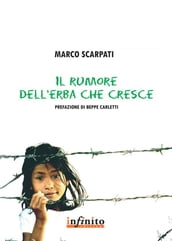 Il rumore dell