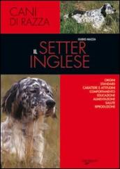 Il setter inglese