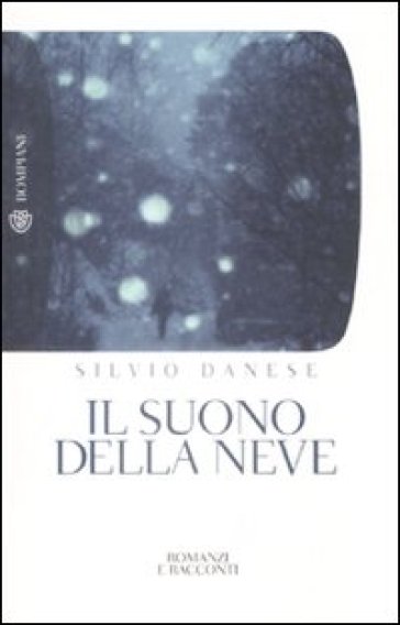 Il suono della neve - Silvio Danese