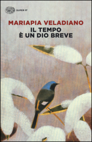 Il tempo è un dio breve - Mariapia Veladiano