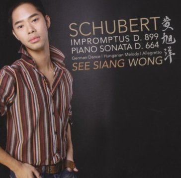 Impromptus d899/piano son - Franz Schubert