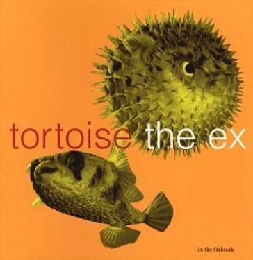 In the fishtank 5 - TORTOISE & EX