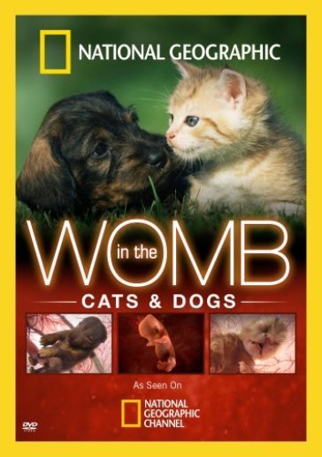 In the womb:cats and dogs - Geographic National