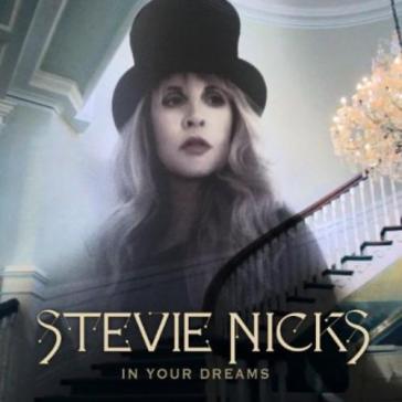 In your dreams - Stevie Nicks