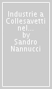 Industrie a Collesavetti nel XX secolo. Storia, archeologia industriale, memoria