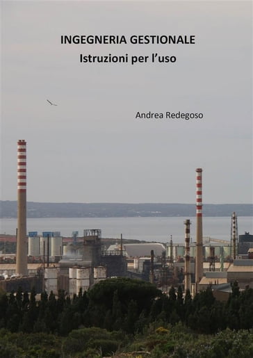 Ingegneria gestionale - Istruzioni per l'uso - Andrea Giovanni Redegoso