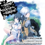 Is It Wrong to Try to Pick Up Girls in a Dungeon?, Vol. 1