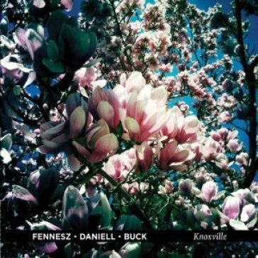 Knoxville - Fennesz