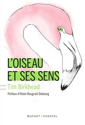 L Oiseau et ses sens