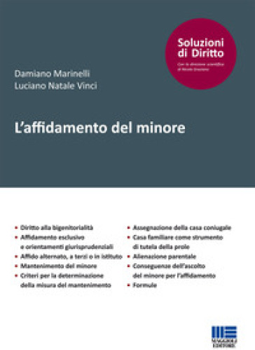 L'affidamento del minore - Damiano Marinelli - Luciano Natale Vinci