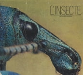 L insecte