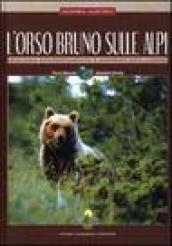 L orso bruno sulle Alpi