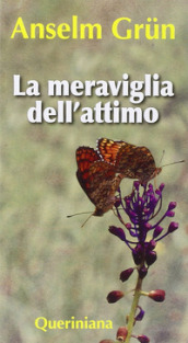 La meraviglia dell