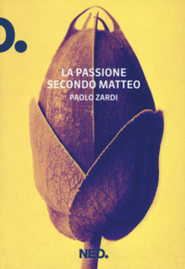 La passione secondo Matteo - Paolo Zardi