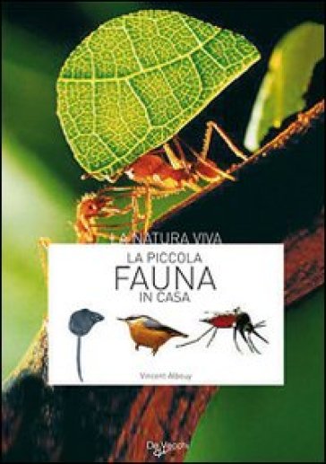 La piccola fauna in casa - Vincent Albouy