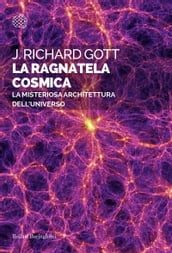 La ragnatela cosmica