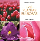 Las plantas bulbosas - Cultivo y cuidados