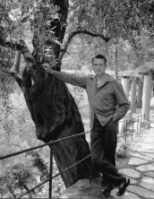 Laurence Olivier, Portofino anni cinquanta