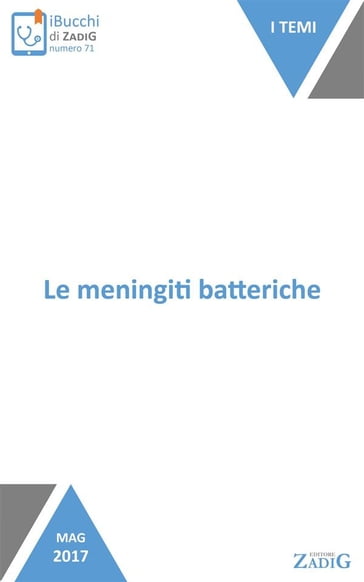 Le meningiti batteriche - Maria Rosa Valetto - Silvia Rabbiosi