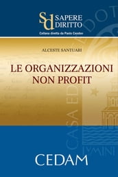 Le organizzazioni non profit