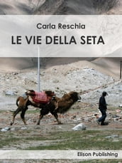 Le vie della seta