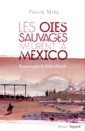 Les oies sauvages meurent à Mexico