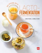 Les secrets de la lacto-fermentation