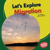 Let s Explore Migration
