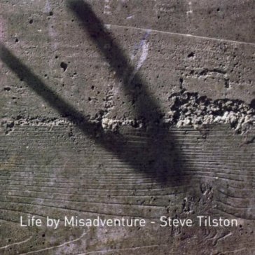 Life by misadventure - STEVE TILSTON